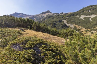 Bulgaristan 'ın Pirin Dağı' ndaki Banderitsa Nehri yakınlarındaki İnanılmaz Sonbahar Manzarası