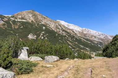 Bulgaristan 'ın Pirin Dağı' ndaki Banderitsa Nehri yakınlarındaki İnanılmaz Sonbahar Manzarası
