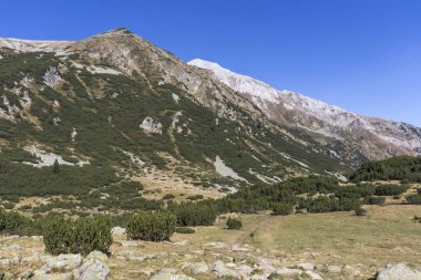 Bulgaristan 'ın Pirin Dağı' ndaki Banderitsa Nehri yakınlarındaki İnanılmaz Sonbahar Manzarası