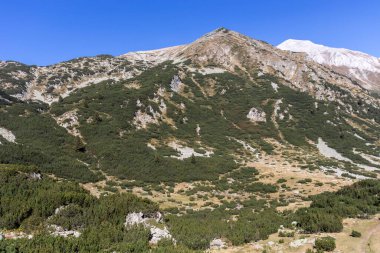 Amazing Autumn Landscape near Banderitsa River at Pirin Mountain, Bulgaria