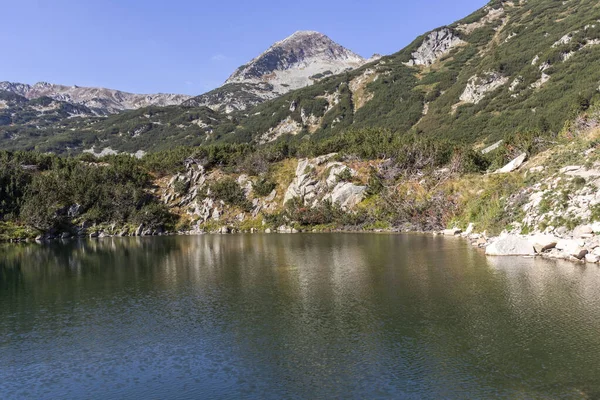 Hämmästyttävä Syksyn Maisema Banderitsa Joen Lähellä Pirin Vuorella Bulgariassa — kuvapankkivalokuva