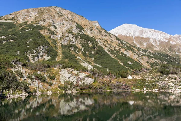 Amazing Autumn Landscape Banderitsa River Pirin Mountain Bulgaria — 图库照片