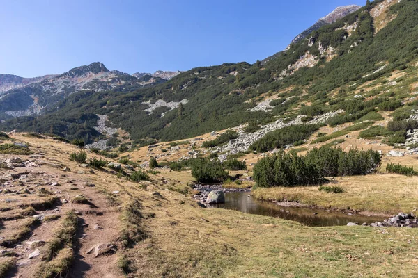 Increíble Paisaje Otoño Cerca Del Río Banderitsa Montaña Pirin Bulgaria — Foto de Stock