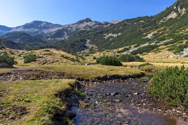 Paysage Automne Incroyable Près Rivière Banderitsa Pirin Mountain Bulgarie — Photo
