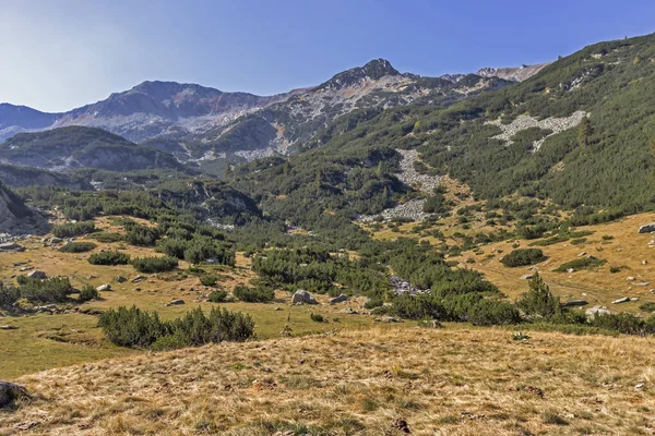 Amazing Autumn Landscape Banderitsa River Pirin Mountain Bulgaria — Stock Photo, Image