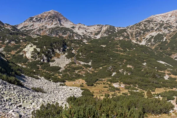 Increíble Paisaje Otoño Cerca Del Río Banderitsa Montaña Pirin Bulgaria —  Fotos de Stock