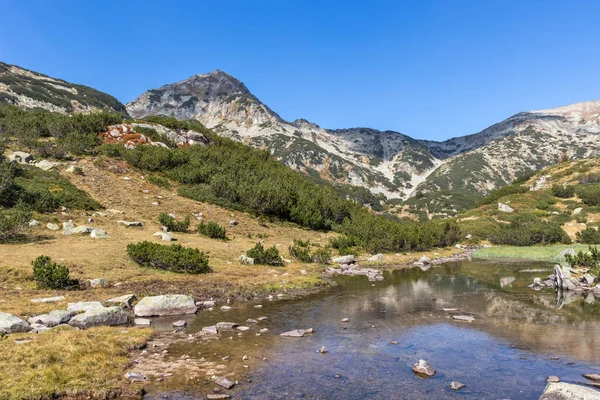 Incredibile Paesaggio Autunnale Vicino Fiume Banderitsa Pirin Mountain Bulgaria — Foto Stock