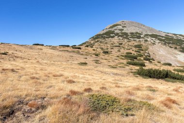 Bulgaristan 'ın Polezhan Tepesi yakınlarındaki Pirin Dağı' nın Şaşırtıcı Manzarası
