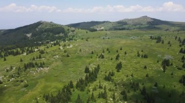 Bulgaristan 'ın Sofya Şehir Bölgesi, Vitosha Dağı' ndaki Konyarnika bölgesinin havadan görüntüsü