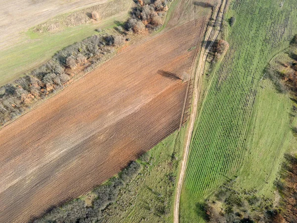 Vue Aérienne Montagne Sakar Près Topolovgrad Région Haskovo Bulgarie — Photo