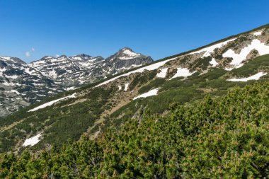 Bulgaristan 'ın Popovo Gölü yakınlarındaki Pirin Dağı' nın İnanılmaz Yaz Manzarası