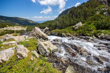 Bulgaristan 'ın Popovo Gölü yakınlarındaki Pirin Dağı' nın İnanılmaz Yaz Manzarası