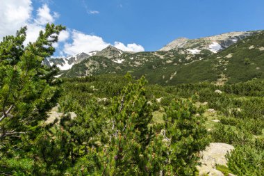 Bulgaristan 'ın Popovo Gölü yakınlarındaki Pirin Dağı' nın İnanılmaz Yaz Manzarası