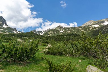 Bulgaristan 'ın Popovo Gölü yakınlarındaki Pirin Dağı' nın İnanılmaz Yaz Manzarası