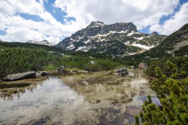 Bulgaristan 'ın Popovo Gölü yakınlarındaki Pirin Dağı' nın İnanılmaz Yaz Manzarası