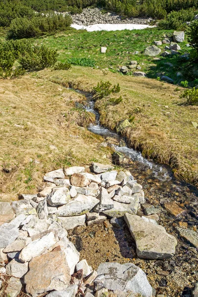 Amazing Summer Landscape Pirin Mountain Popovo Lake Bulgaria — Stock Photo, Image