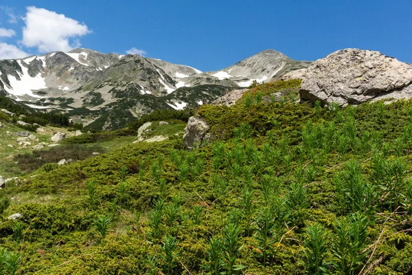 Niesamowity Letni Krajobraz Góry Pirin Pobliżu Jeziora Popovo Bułgaria — Zdjęcie stockowe