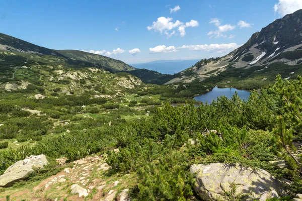 Csodálatos Nyári Táj Pirin Mountain Közelében Popovo Bulgária — Stock Fotó