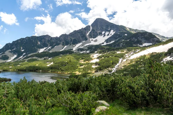 Paysage Estival Incroyable Montagne Pirin Près Lac Popovo Bulgarie — Photo