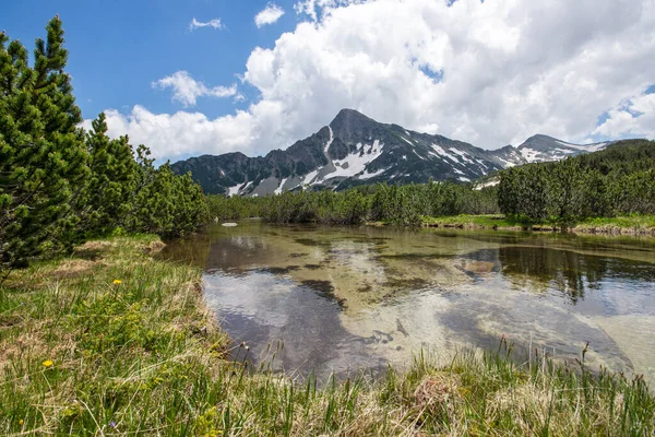 Geweldige Zomer Landschap Van Pirin Mountain Buurt Van Popovo Lake — Stockfoto