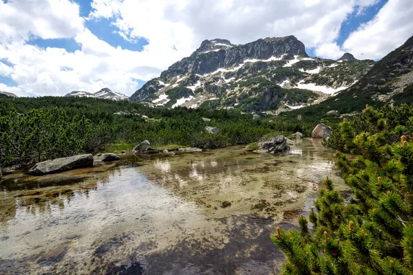 Fantastisk Sommar Landskap Pirin Mountain Nära Popovo Lake Bulgarien — Stockfoto