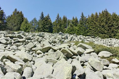 Bulgaristan 'ın Sofya Şehir Bölgesi' ndeki Aleko barakası yakınlarındaki Vitosha Dağı 'nın yaz manzarası