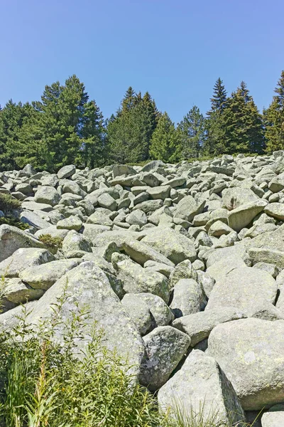 Summer Landscape Vitosha Mountain Aleko Hut Sofia City Region Bulgaria — Zdjęcie stockowe