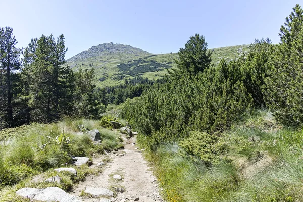Summer Landscape Vitosha Mountain Aleko Hut Sofia City Region Bulgaria — Zdjęcie stockowe