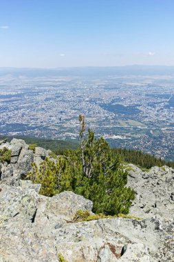 Bulgaristan 'ın Vitosha Dağı' ndaki Kamen Del Peak kentinden Sofya 'nın muhteşem manzarası