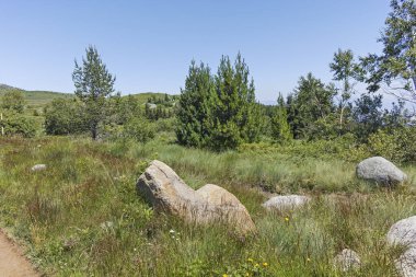 Bulgaristan 'ın Sofya Şehir Bölgesi' nin Kamen Del zirvesi yakınlarındaki Vitosha Dağı 'nın yaz manzarası