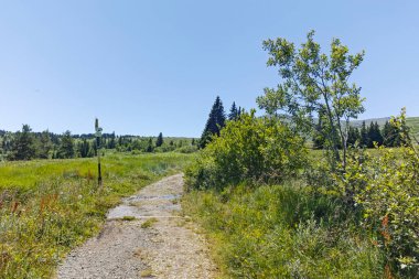 Bulgaristan 'ın Sofya Şehir Bölgesi' nin Kamen Del zirvesi yakınlarındaki Vitosha Dağı 'nın yaz manzarası