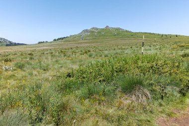 Bulgaristan 'ın Sofya Şehir Bölgesi' nin Kamen Del zirvesi yakınlarındaki Vitosha Dağı 'nın yaz manzarası