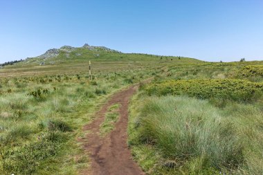 Bulgaristan 'ın Sofya Şehir Bölgesi' nin Kamen Del zirvesi yakınlarındaki Vitosha Dağı 'nın yaz manzarası
