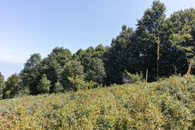 Bulgaristan 'ın Blagoevgrad bölgesindeki Belasitsa Dağı' nın şaşırtıcı yaz manzarası