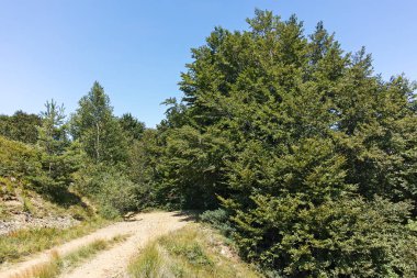 Bulgaristan 'ın Blagoevgrad bölgesindeki Belasitsa Dağı' nın şaşırtıcı yaz manzarası