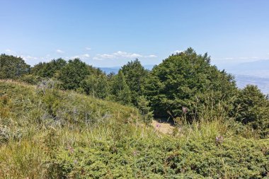 Bulgaristan 'ın Blagoevgrad bölgesindeki Belasitsa Dağı' nın şaşırtıcı yaz manzarası