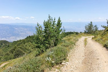 Bulgaristan 'ın Blagoevgrad bölgesindeki Belasitsa Dağı' nın şaşırtıcı yaz manzarası