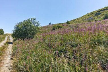 Bulgaristan 'ın Blagoevgrad bölgesindeki Belasitsa Dağı' nın şaşırtıcı yaz manzarası