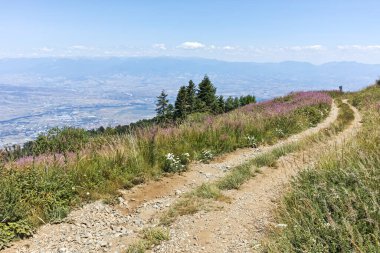 Bulgaristan 'ın Blagoevgrad bölgesindeki Belasitsa Dağı' nın şaşırtıcı yaz manzarası