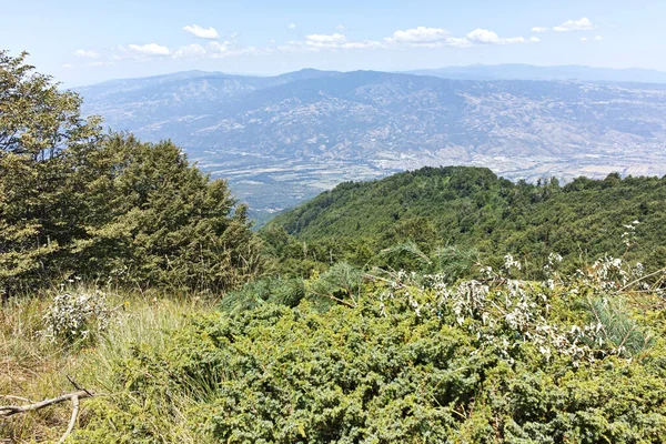 Amazing Summer Landscape Belasitsa Mountain Blagoevgrad Region Bulgaria — Photo
