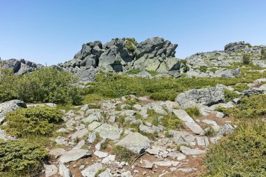 Bulgaristan 'ın Sofya Şehir Bölgesi' nin Kamen Del zirvesi yakınlarındaki Vitosha Dağı 'nın yaz manzarası