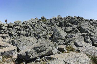 Bulgaristan 'ın Sofya Şehir Bölgesi' nin Kamen Del zirvesi yakınlarındaki Vitosha Dağı 'nın yaz manzarası