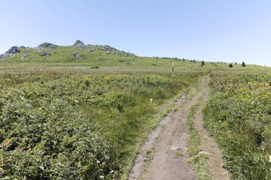 Bulgaristan 'ın Sofya Şehir Bölgesi' nin Kamen Del zirvesi yakınlarındaki Vitosha Dağı 'nın yaz manzarası