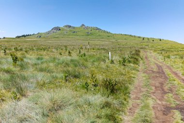 Bulgaristan 'ın Sofya Şehir Bölgesi' nin Kamen Del zirvesi yakınlarındaki Vitosha Dağı 'nın yaz manzarası