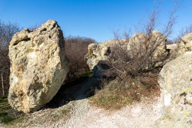 Bulgaristan 'ın Kardzhali bölgesindeki Beli plast köyü yakınlarındaki Kaya oluşumlu Mantar Mantarları