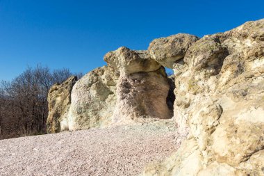 Bulgaristan 'ın Kardzhali bölgesindeki Beli plast köyü yakınlarındaki Kaya oluşumlu Mantar Mantarları