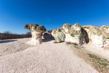 Bulgaristan 'ın Kardzhali bölgesindeki Beli plast köyü yakınlarındaki Kaya oluşumlu Mantar Mantarları
