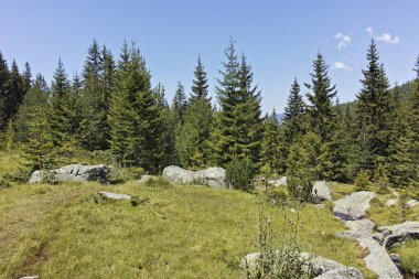 Bulgaristan 'ın Begovitsa kulübesi yakınlarındaki Pirin Dağı' nın şaşırtıcı manzarası