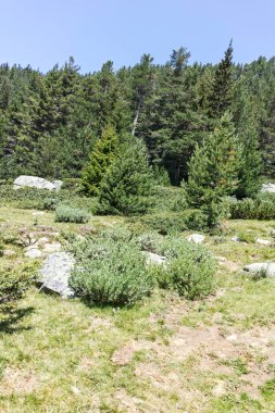Amazing Landscape of Pirin Mountain mountain near Begovitsa hut, Bulgaria