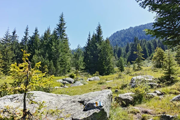 Amazing Landscape Pirin Mountain Mountain Begovitsa Hut Bulgaria — 스톡 사진